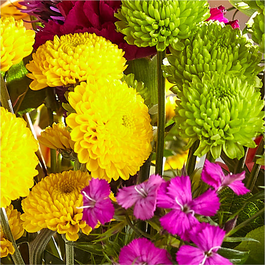 Bold & Bright – A Florist Original – MERCY'S FLOWERS, Miami FL