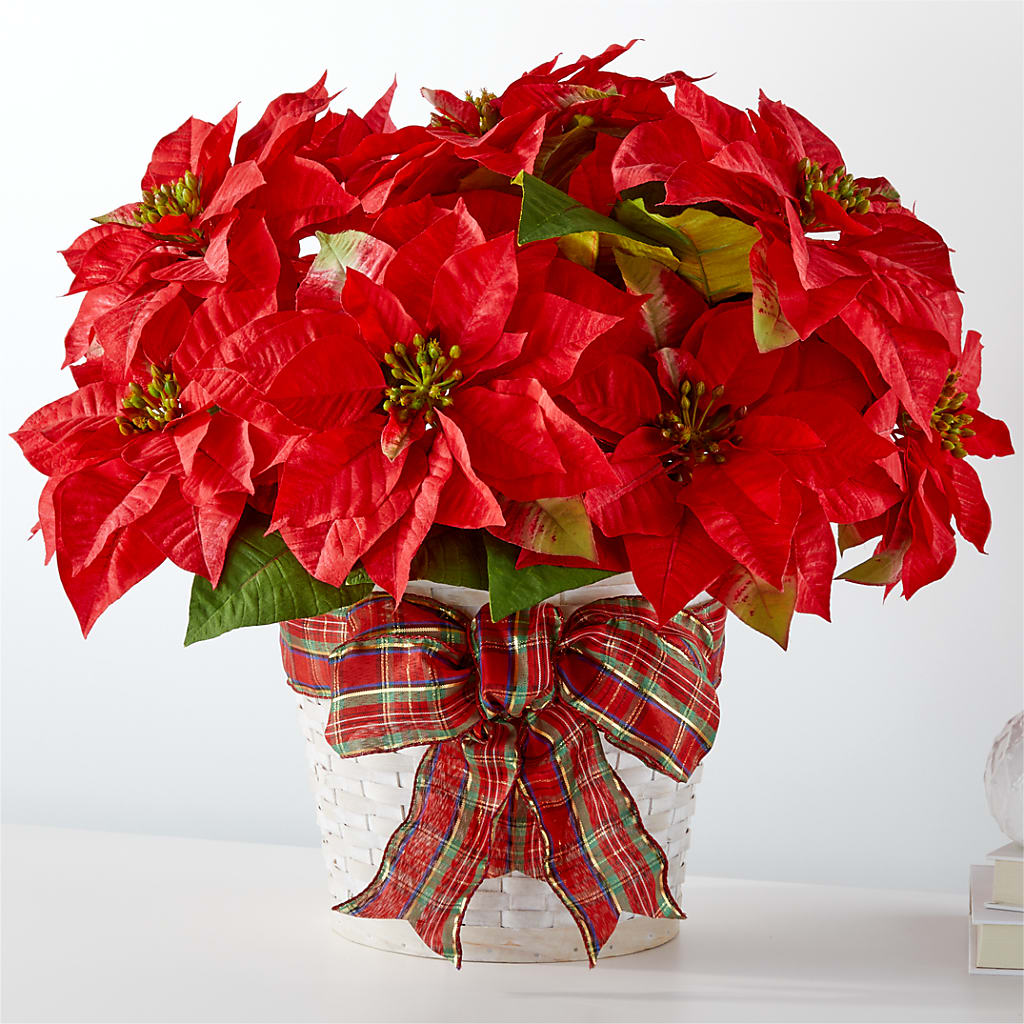 Happiest Holidays Poinsettia – MERCY'S FLOWERS, Miami FL
