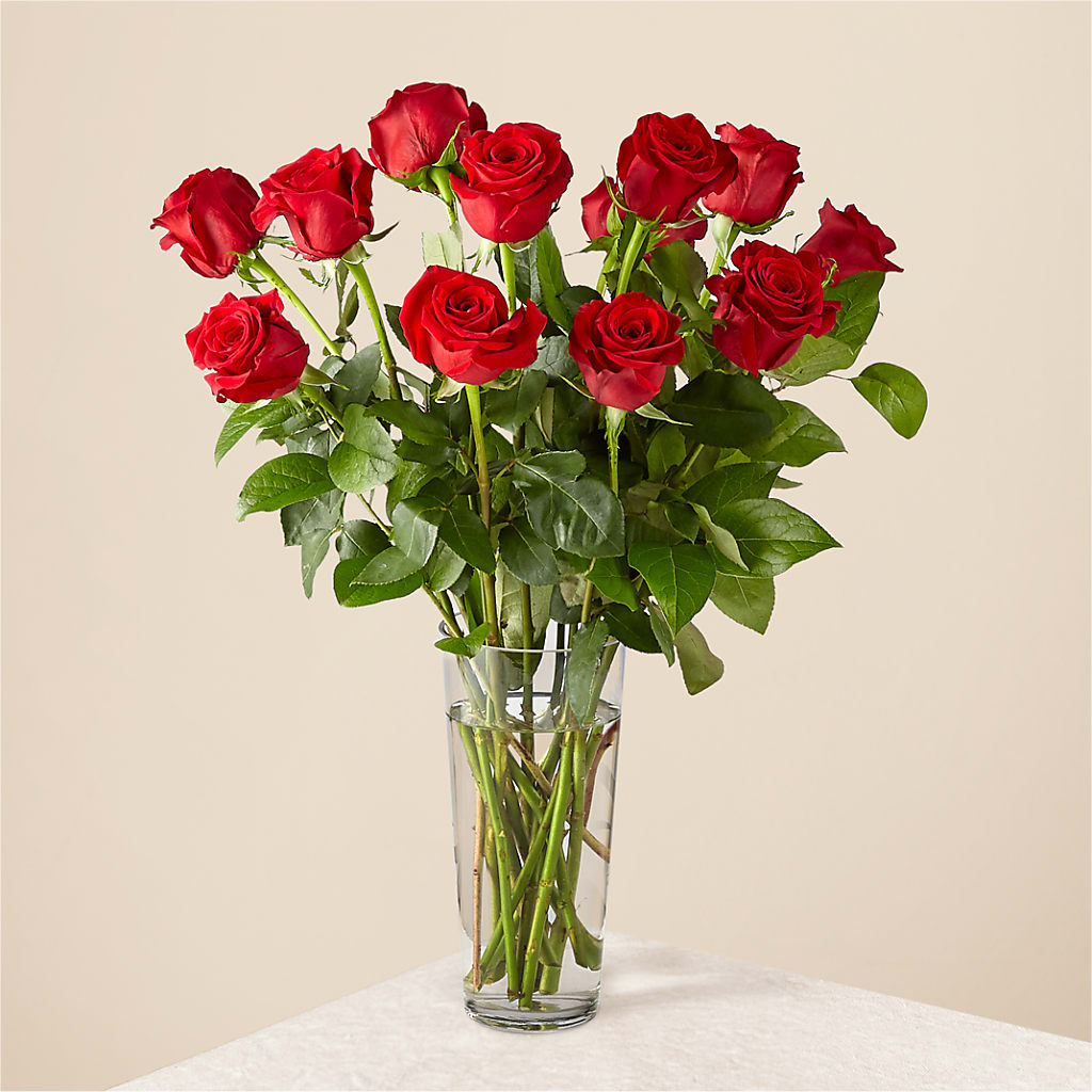 Long Stem Red Rose Bouquet – MERCY'S FLOWERS, Miami FL