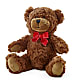 Adorable Plush Bear – MERCY'S FLOWERS, Miami FL