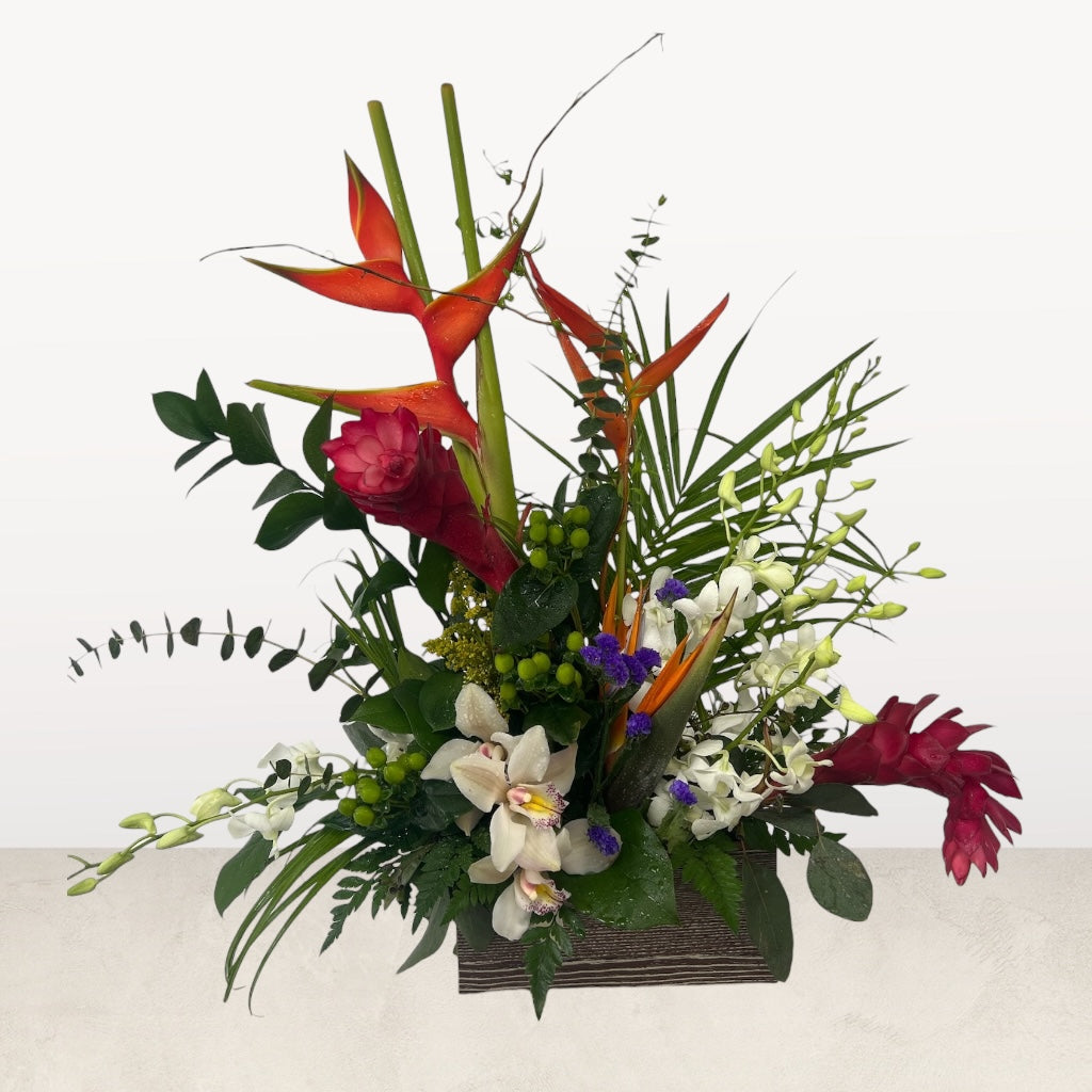 Bold and Beautiful – MERCY'S FLOWERS, Miami FL