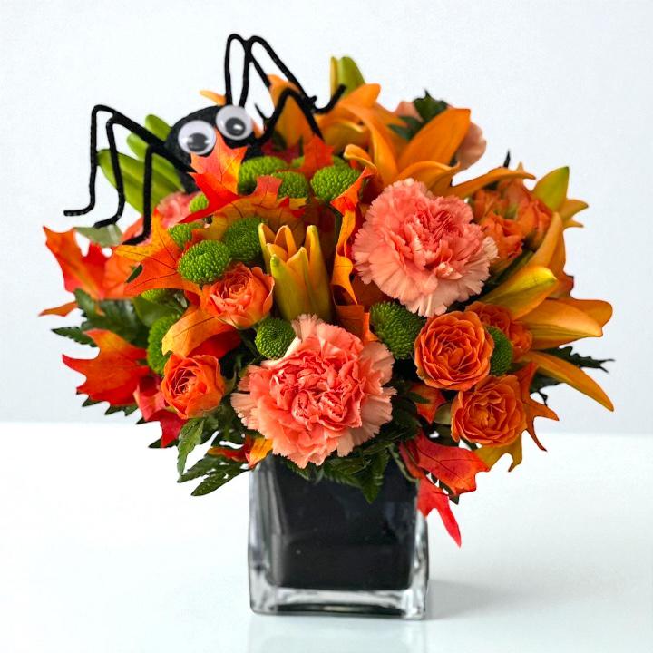 Spooky Spider Surprise