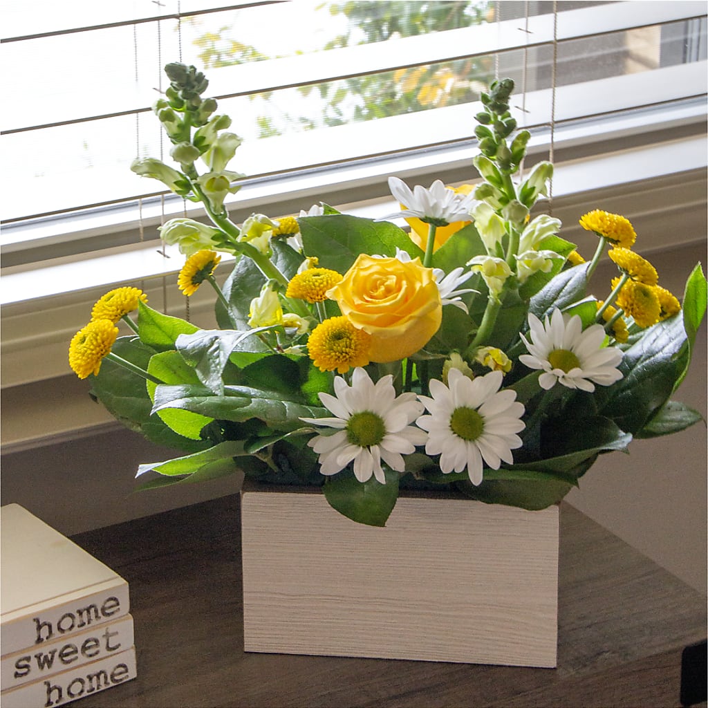 Sun Salutation Box Bouquet – MERCY'S FLOWERS, Miami FL