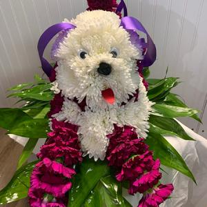 ST. LAZARO DOGS DEC.17 – MERCY'S FLOWERS, Miami FL