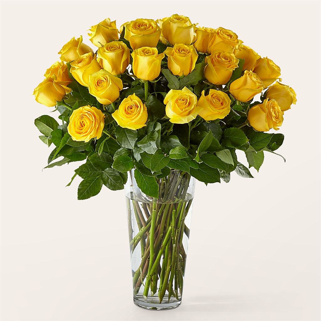 Long Stem Yellow Rose Bouquet – MERCY'S FLOWERS, Miami FL