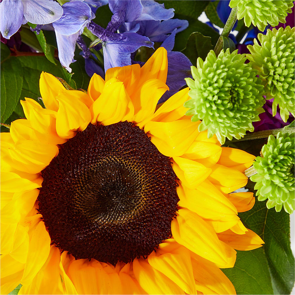 Catching Rays Bouquet – MERCY'S FLOWERS, Miami FL