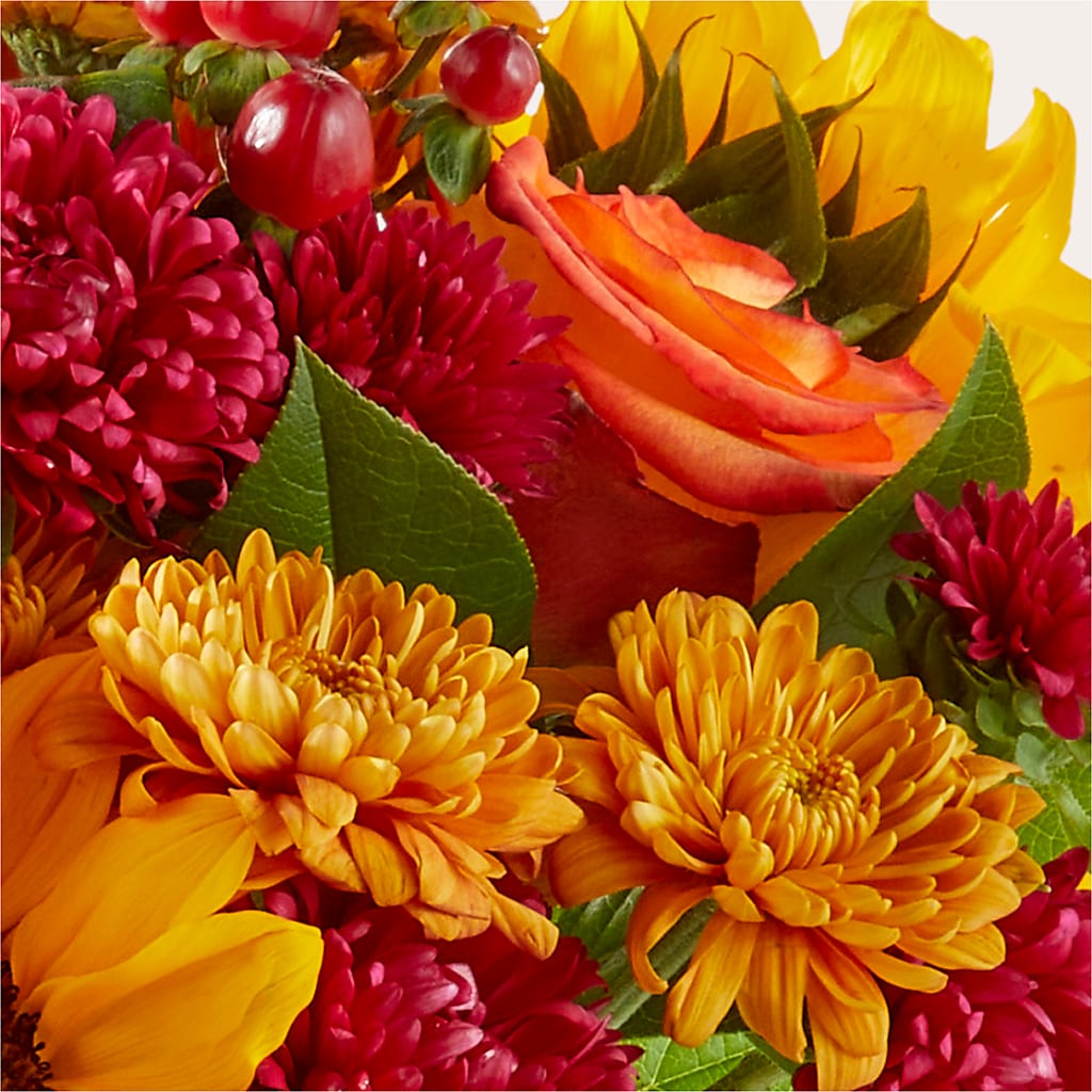 Sweater Season - A Florist Original – MERCY'S FLOWERS, Miami FL
