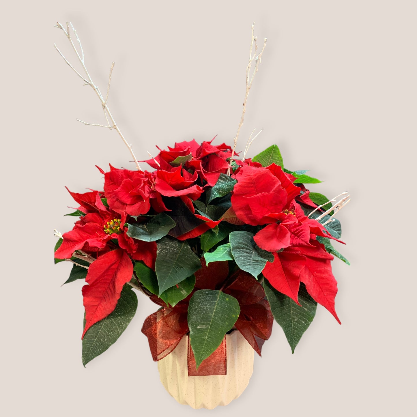 Elegant Poinsettia for Chritsmas – MERCY'S FLOWERS, Miami FL