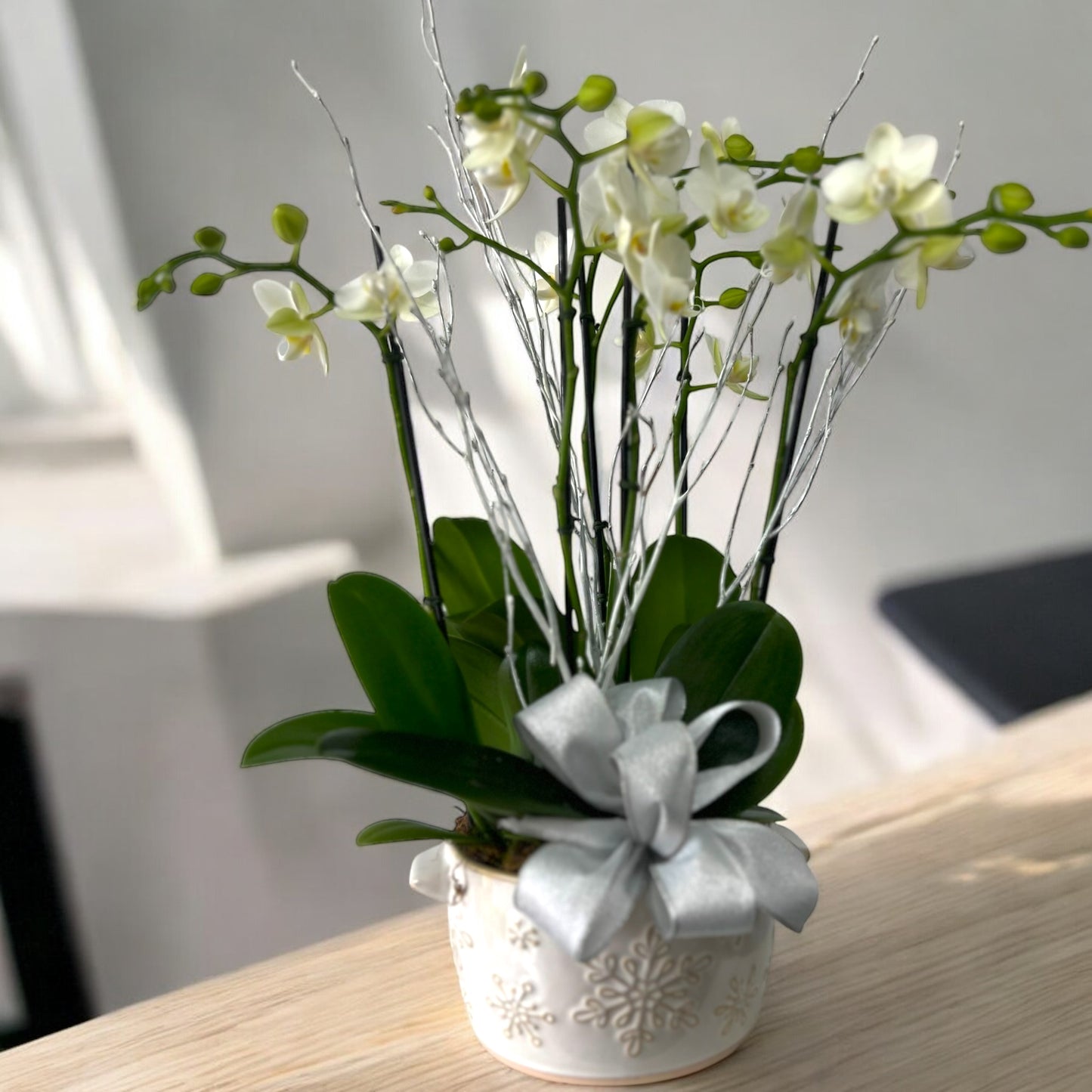 Celebration Charm Orchid