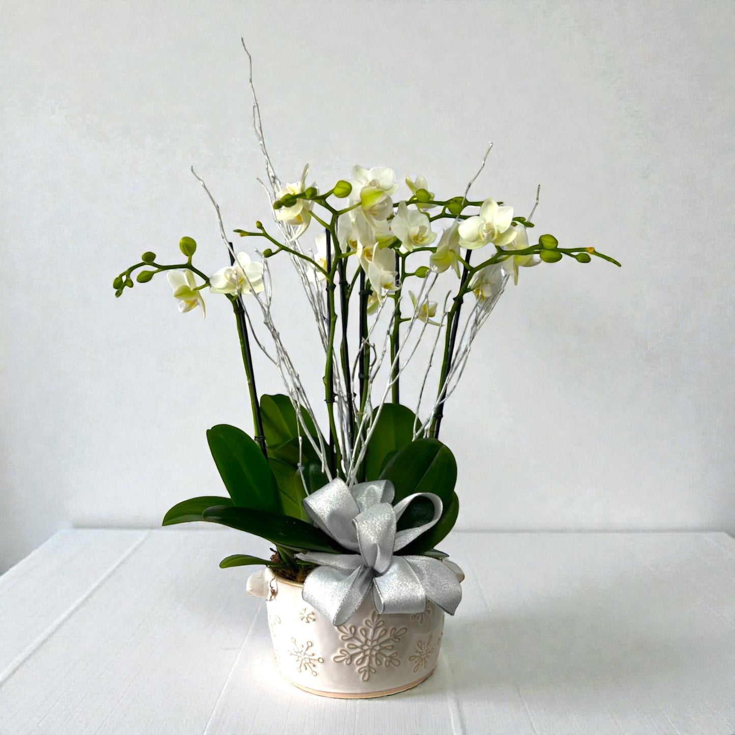 Celebration Charm Orchid – MERCY'S FLOWERS, Miami FL