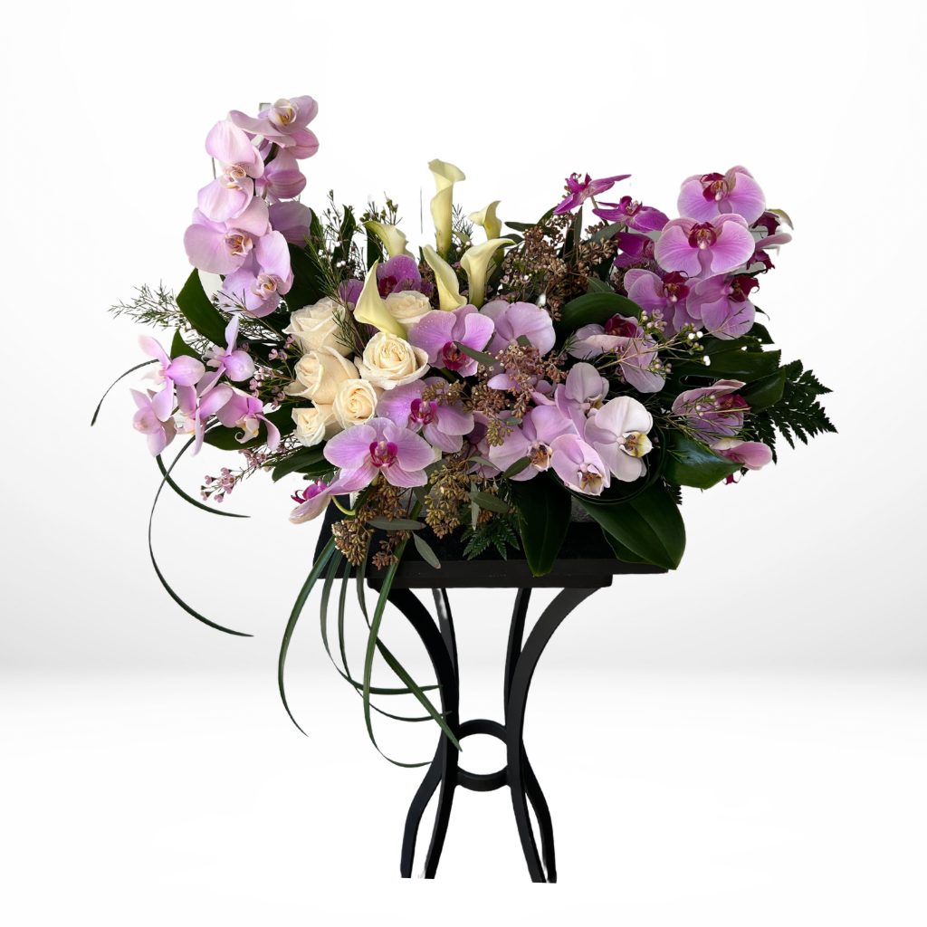 Majestic Orchids Exotic – MERCY'S FLOWERS, Miami FL