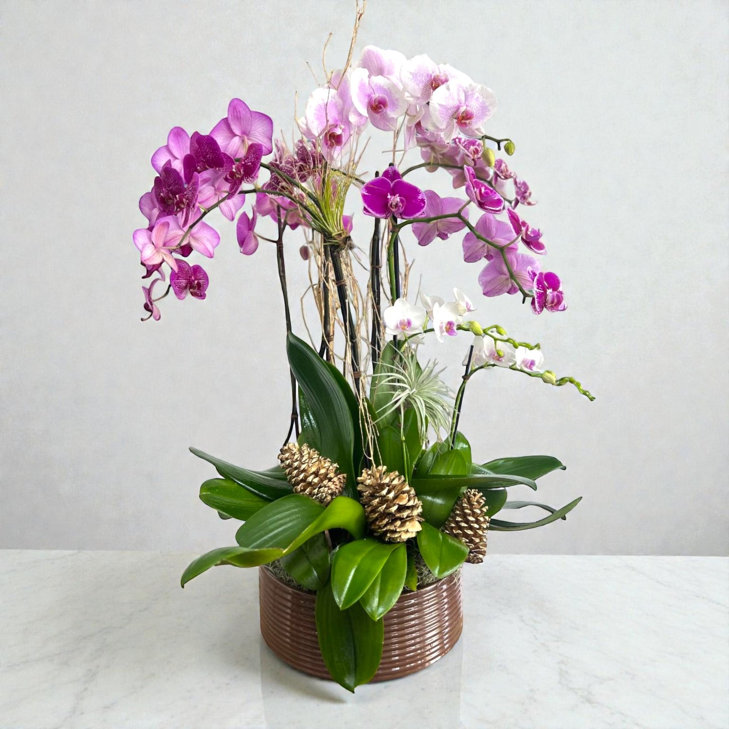 Multicolor Orchid Winter Garden – MERCY'S FLOWERS, Miami FL