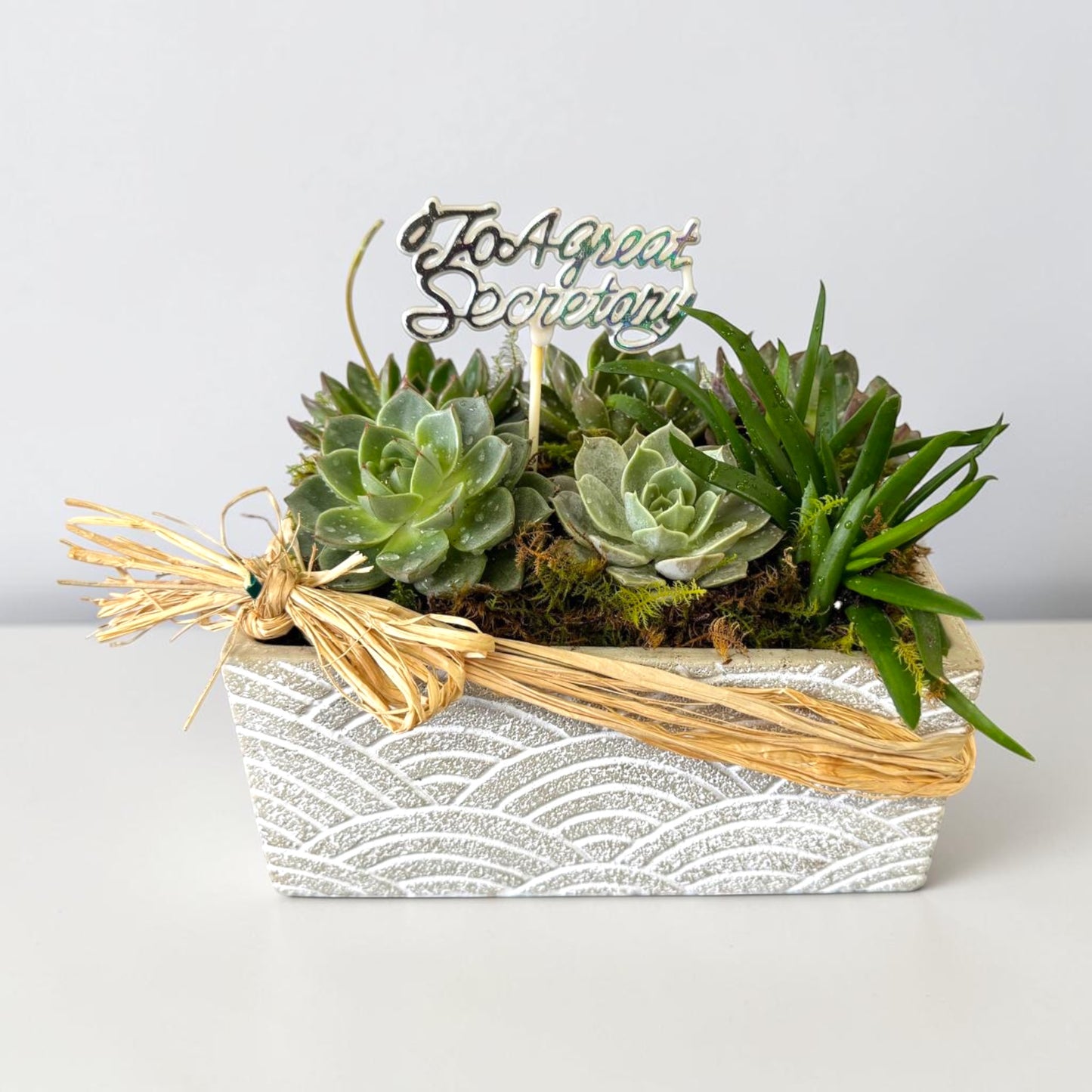 Quiet Appreciation — Succulent Garden