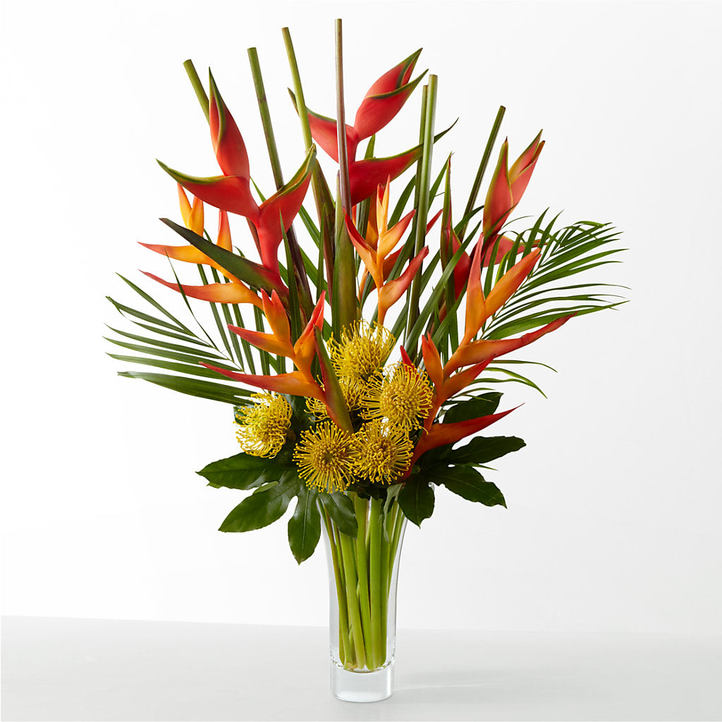 The Drama – MERCY'S FLOWERS, Miami FL