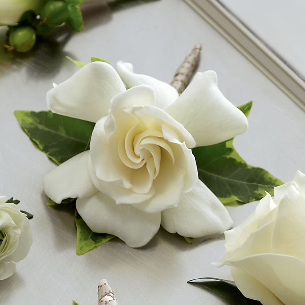 Gardenia Boutonniere – MERCY'S FLOWERS, Miami FL