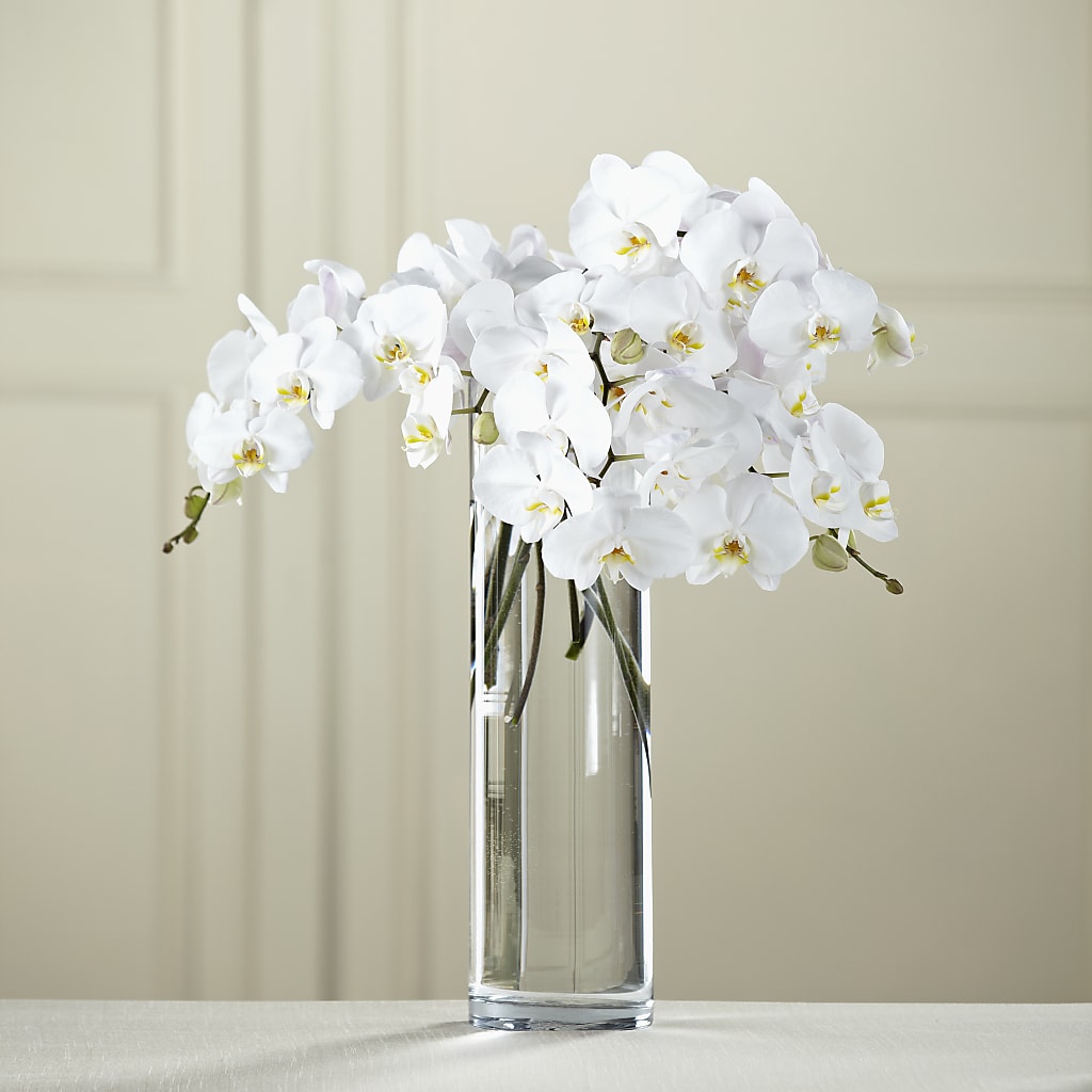 White Phalaenopsis Bouquet – MERCY'S FLOWERS, Miami FL
