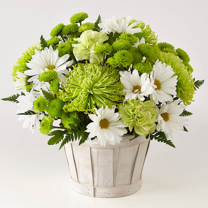 Lucky Charm Basket (Standard) – MERCY'S FLOWERS, Miami FL