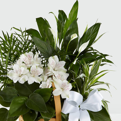 Peace & Serenity Dishgarden – MERCY'S FLOWERS, Miami FL