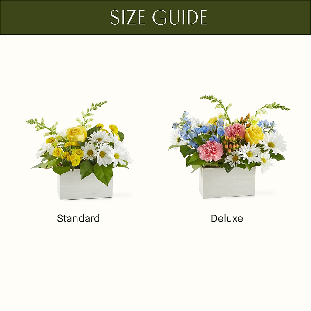 Sun Salutation Box Bouquet – MERCY'S FLOWERS, Miami FL