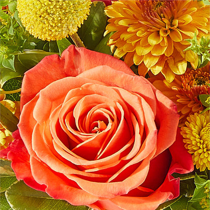 Gourdgeous Pumpkin – MERCY'S FLOWERS, Miami FL