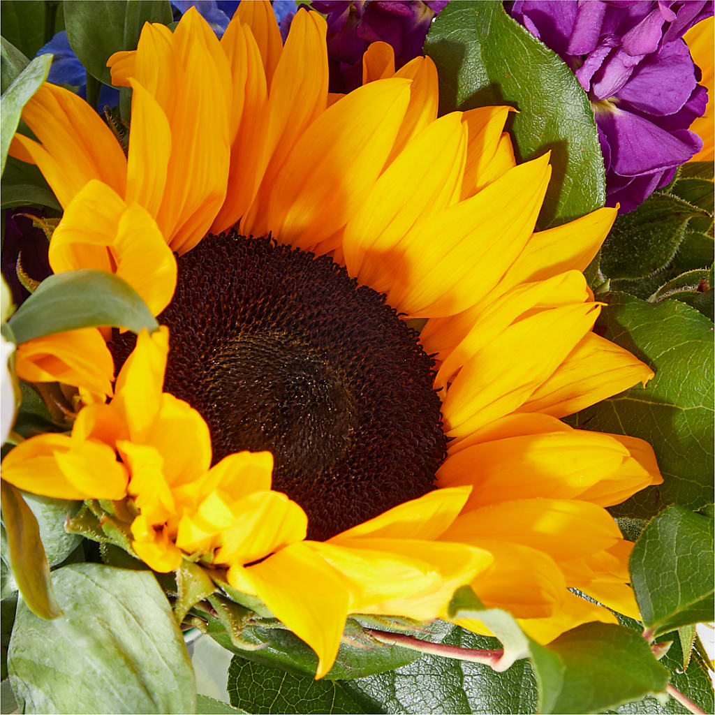 Catching Rays Bouquet – MERCY'S FLOWERS, Miami FL