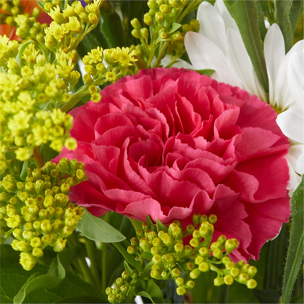 Oopsie Daisy Bouquet – MERCY'S FLOWERS, Miami FL