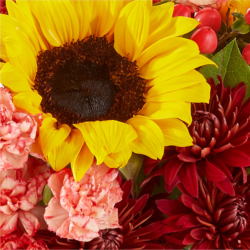 Fresh Cider Bouquet – MERCY'S FLOWERS, Miami FL