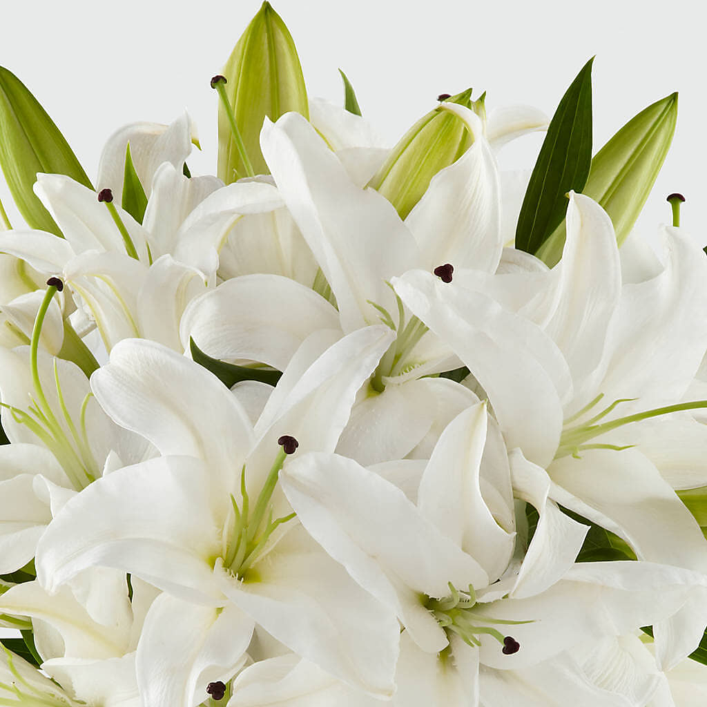 Faithful Blessings Bouquet – MERCY'S FLOWERS, Miami FL