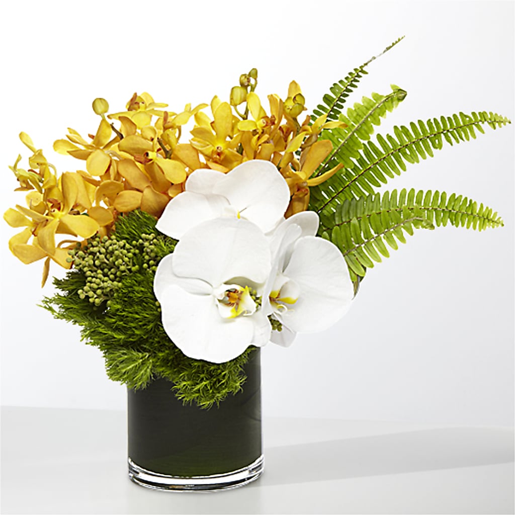 The Tropics – MERCY'S FLOWERS, Miami FL