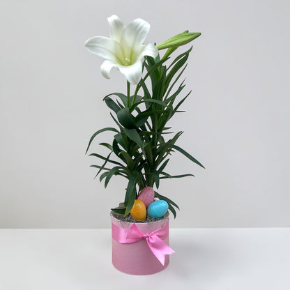 Easter Lily Arrangement