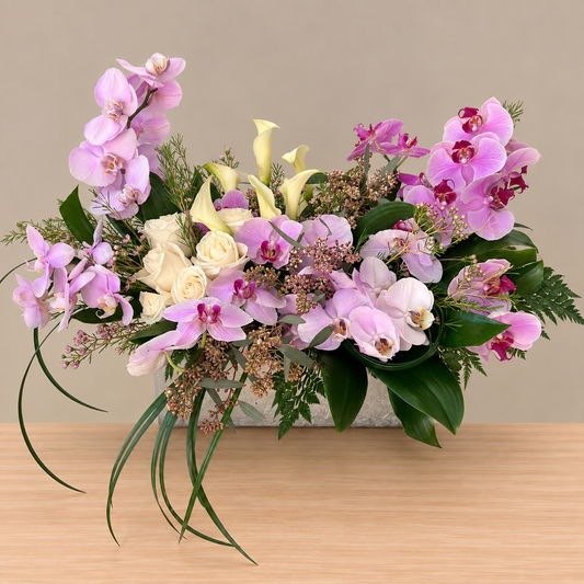 Majestic Orchids Exotic – MERCY'S FLOWERS, Miami FL