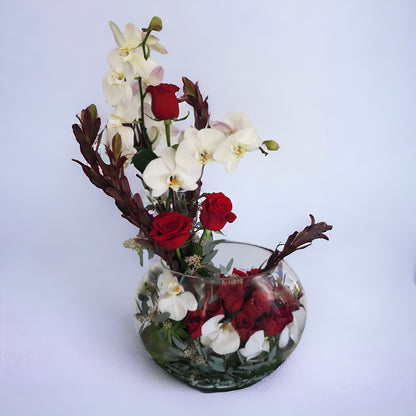 Classic Ruby Snow – MERCY'S FLOWERS, Miami FL