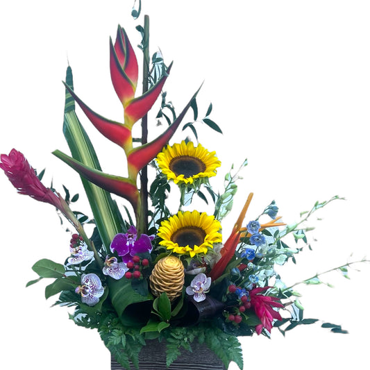 Guiding Star Tropical Arrangement