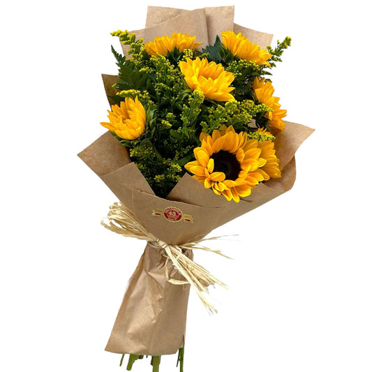 Bq Fresh Sunflower Radiance