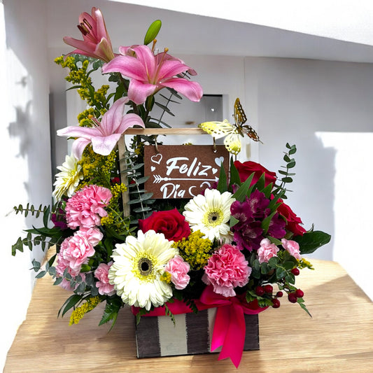 Festive Harmony Box