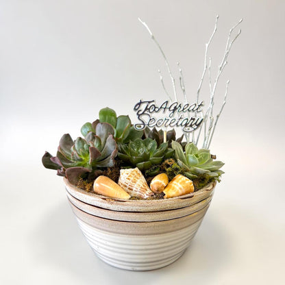 Coastal Calm — Succulent Garden – MERCY'S FLOWERS, Miami FL