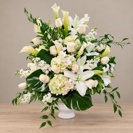 Ivory Grace – MERCY'S FLOWERS, Miami FL