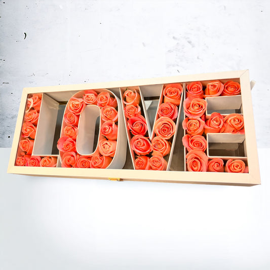 Luggage of Love