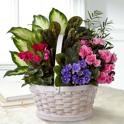 Peaceful Garden Planter – MERCY'S FLOWERS, Miami FL