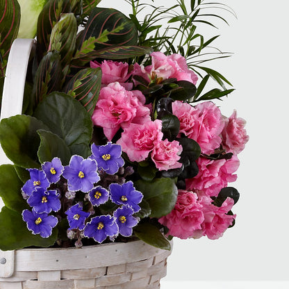 Peaceful Garden Planter – MERCY'S FLOWERS, Miami FL