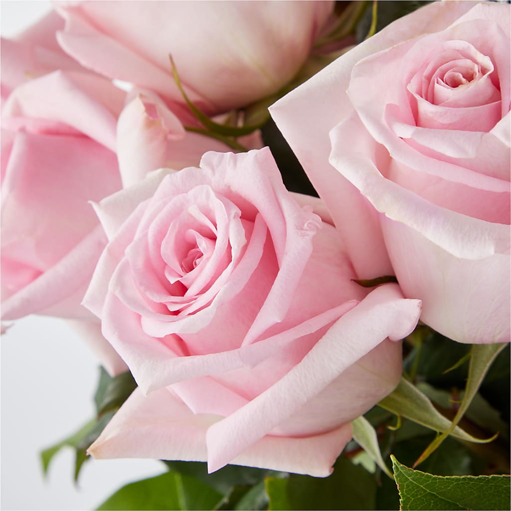 Picture Perfect Pink Rose Bouquet – MERCY'S FLOWERS, Miami FL