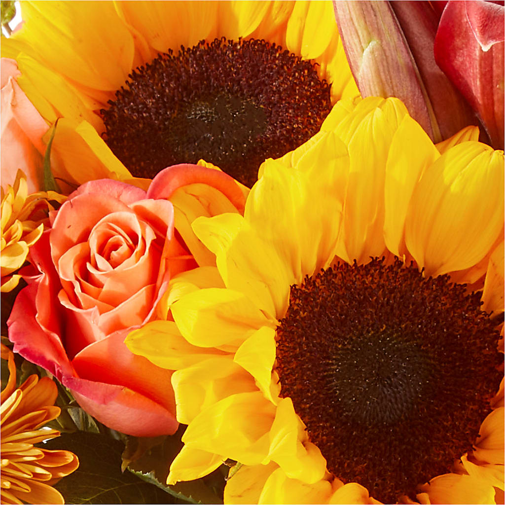 Acorn Lane Bouquet – MERCY'S FLOWERS, Miami FL