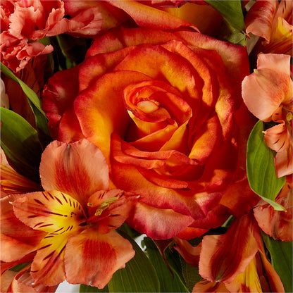 Apricot Glow Bouquet – MERCY'S FLOWERS, Miami FL