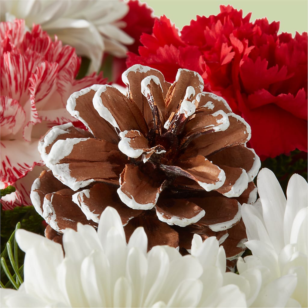 Candy Cane Lane Bouquet – MERCY'S FLOWERS, Miami FL