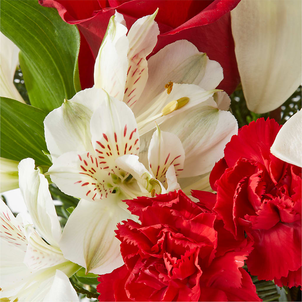 Holiday Season Bouquet – MERCY'S FLOWERS, Miami FL