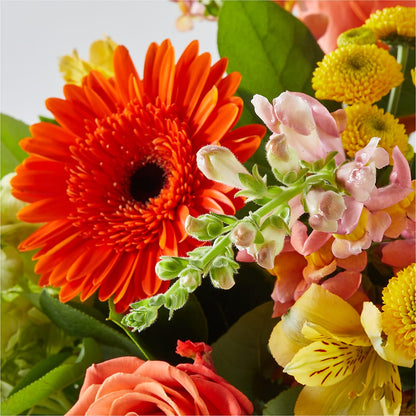 Autumn Sunshine Bouquet – MERCY'S FLOWERS, Miami FL