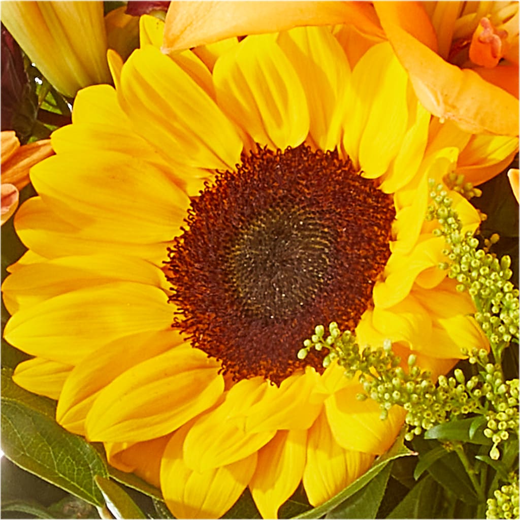 Seasons Change Bouquet – MERCY'S FLOWERS, Miami FL