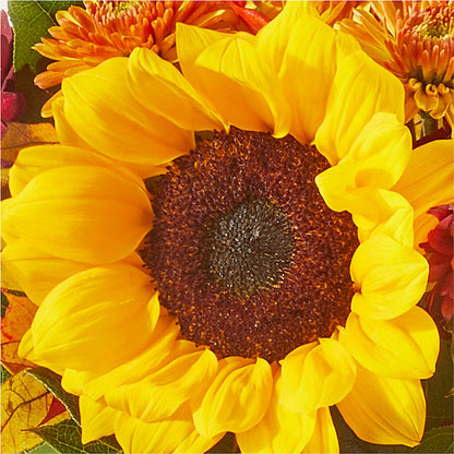 Sunny Side Bouquet – MERCY'S FLOWERS, Miami FL