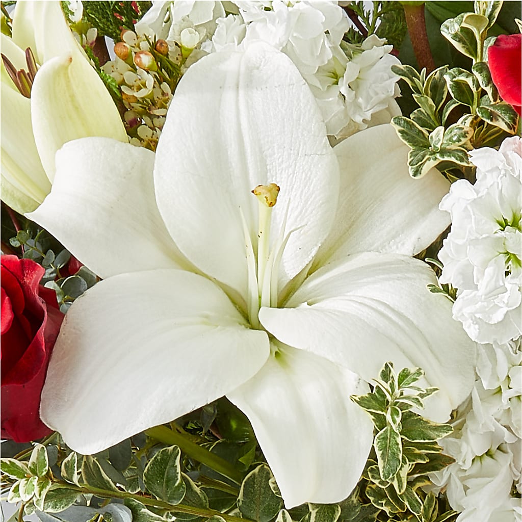 Twinkle Lights Bouquet – MERCY'S FLOWERS, Miami FL