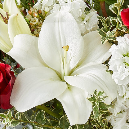 Twinkle Lights Bouquet – MERCY'S FLOWERS, Miami FL